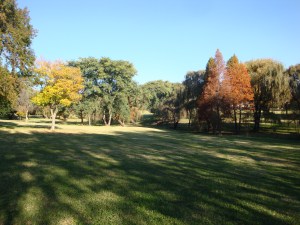 View from Northern boundary of the park.