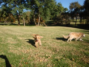 A taste of future freedom...