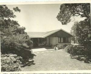 Back garden looking towards the pergola-covered patio.  Study window on the right.