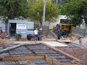 Looking back towards the street.  Daisy's first visit to her new house.