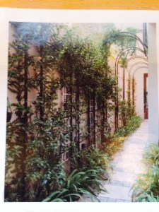 Trellis-covered garden path.