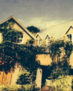 Contemporary Farmhouse with iron roof from which I drew some inspiration.