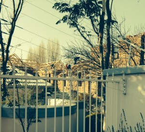 Street view taken at an angle through a neighbour's electric fencing.