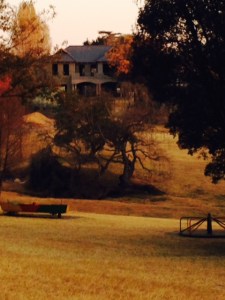House emerging through winter trees.