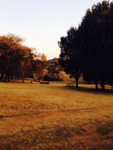 The park on a late winter afternoon. Far in the distance you can just make out our new house.