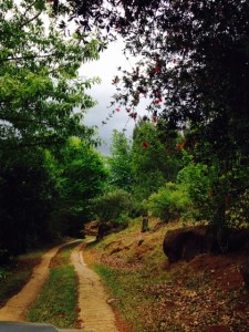 Road to Middle Earth