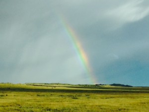 Storm over the Free State.