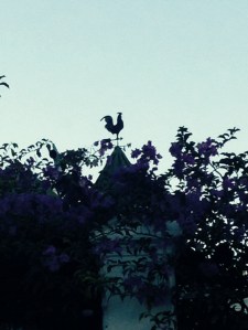 Weathervane on an old Victorian house in Claremont, Cape Town.