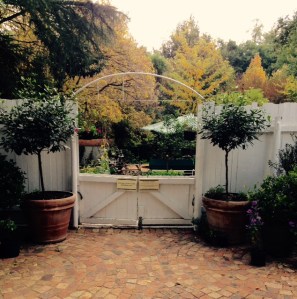 Driveway leading to pool and river garden.