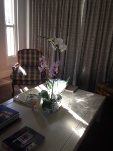 Showered with orchids.