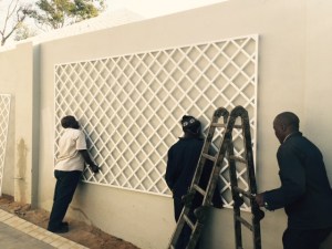 Trellis going up on the driveway wall, opposite the garage.