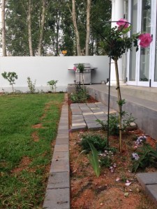 The flower bed along the front of the house.