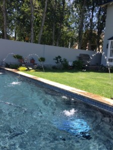 A view of our pool from the south east corner of the garden.